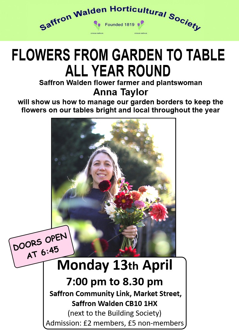 Poster advertising the talk Flowers from Garden to Table